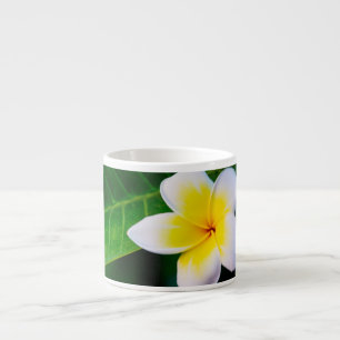 Plumeria Bloem Fotografie Espresso Kop