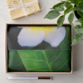 Plumeria Bloem Fotografie Tissuepapier (Geschenk)