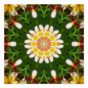 Plumeria Bloem Mandala met Tropische Symmetrie Perfect Poster