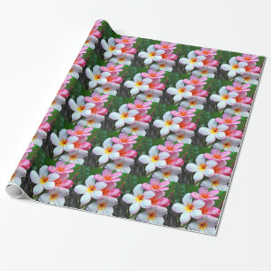 Plumeria blos frangipani cadeaupapier