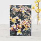 Plumeria Blossom Kaart (Gele Bloem)