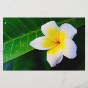 plumeria briefpapier