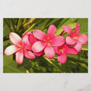 Plumeria Briefpapier