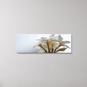 Plumeria Canvas Afdruk