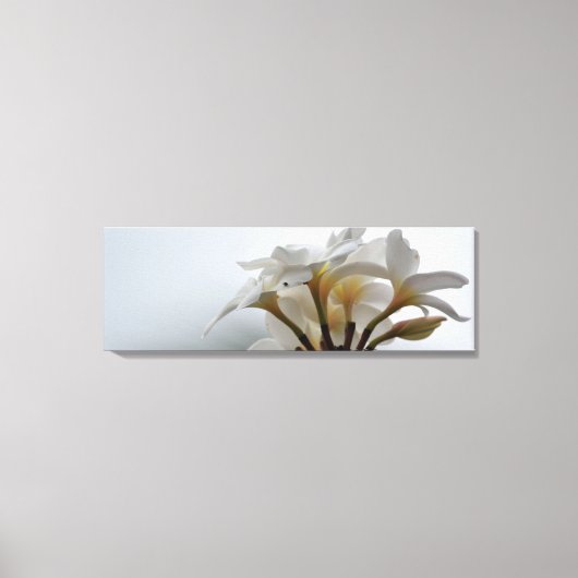 Plumeria Canvas Afdruk (Voorkant)