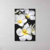Plumeria Canvas Afdruk (Voorkant)