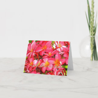Plumeria de Merci