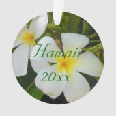 Plumeria d'Hawaï (devant)