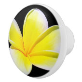 Plumeria Drawer Knob Keramische Knop (Rechts)