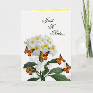 Plumeria et papillons avec carte à billets vierges