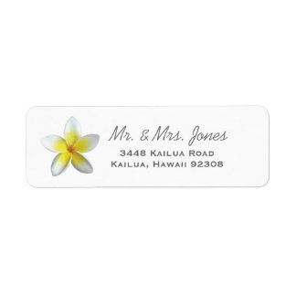 Plumeria Étiquettes de adresse