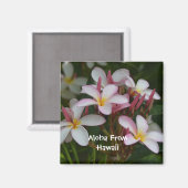 Plumeria Flower Magneet (Voorkant / Achterkant)