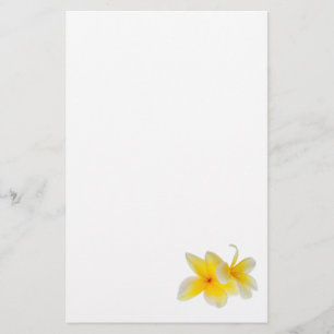 Plumeria Flowers Hawaiian White Yellow Frangipani Briefpapier