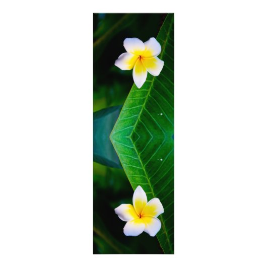 plumeria foto afdruk (Voorkant)