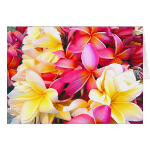 Plumeria Frangipani Floral Photo peinture numériqu