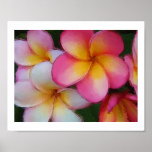 Plumeria Frangipani Flowers Waterverf Sketch Poster