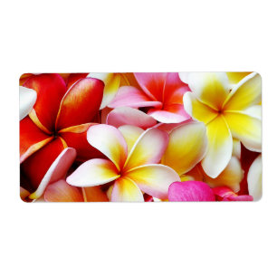 Plumeria Frangipani Hawaii Gepersonaliseerd Etiket