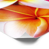 Plumeria Frangipani Hawaii Gepersonaliseerd Foto Afdruk (Hoek)