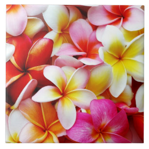 Plumeria Frangipani Hawaii Gepersonaliseerd Tegeltje