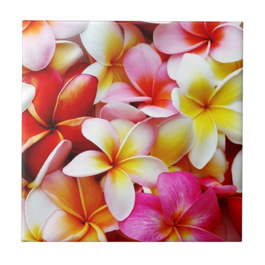 Plumeria Frangipani Hawaii Gepersonaliseerd Tegeltje (Voorkant)