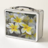 Plumeria, gele bloem fotografie (Voorkant)