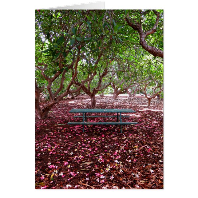 Plumeria Grove (Devant)