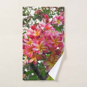 Plumeria hawaïenne