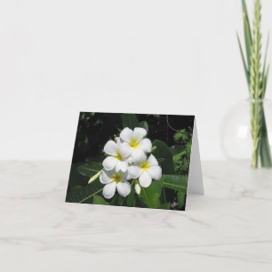 Plumeria Hawaiian Flower Foto op Note Kaart