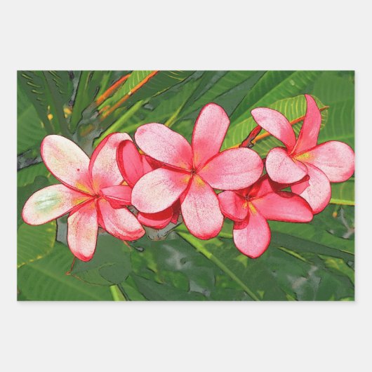 plumeria inpakpapier vel (Voorkant 3)