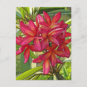 Plumeria - Kunstmatig ontwerp op Briefkaart