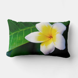 plumeria kussen