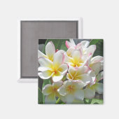 Plumeria Magnet Magneet (Voorkant / Achterkant)