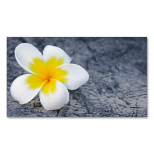 plumeria magnetisch visitekaartje