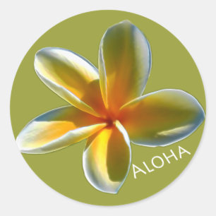 Plumeria met Aloha Ronde Sticker