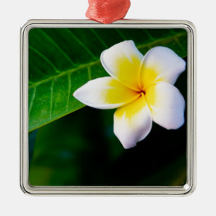 Plumeria Metalen Ornament