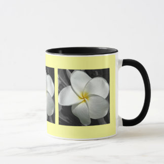 Plumeria-Mok Mok