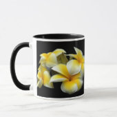 Plumeria-Mok Mok (Links)