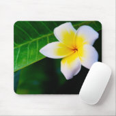 plumeria muismat (Met muis)