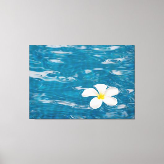 Plumeria Pool Wrapped Canvas Art Afdruk (Voorkant)