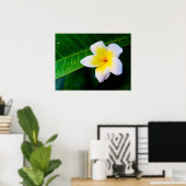 plumeria poster (Thuiskantoor)
