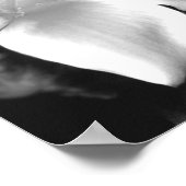 Plumeria Poster (Hoek)