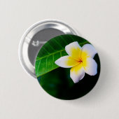 Plumeria Ronde Button 5,7 Cm (Voorkant /achterkant)