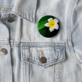 Plumeria Ronde Button 5,7 Cm (In situ)
