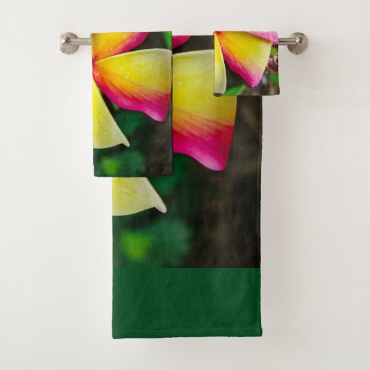 Plumeria rubra (En situation)