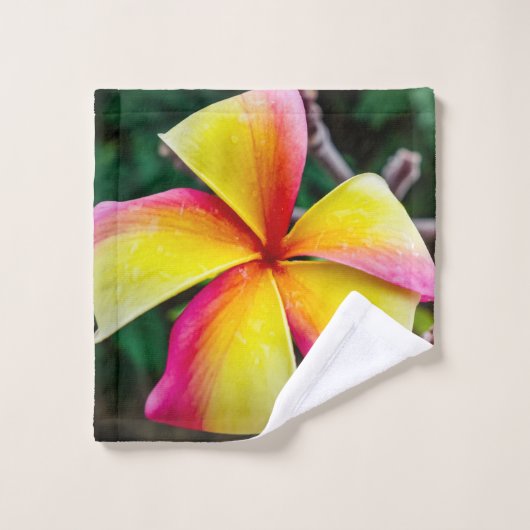 Plumeria rubra (Gant de toilette)