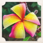 Plumeria rubra kartonnen onderzetters (Voorkant)