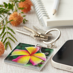 Plumeria rubra sleutelhanger