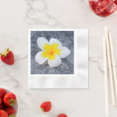 plumeria servet (Insitu)