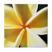 plumeria tegeltje (Voorkant)