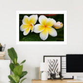 Plumeria Trio Poster (Thuiskantoor)